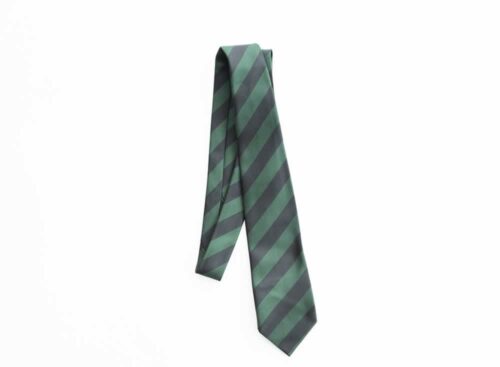 Altwood School Tie