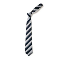 Fernways School Tie - Goyals of Maidenhead